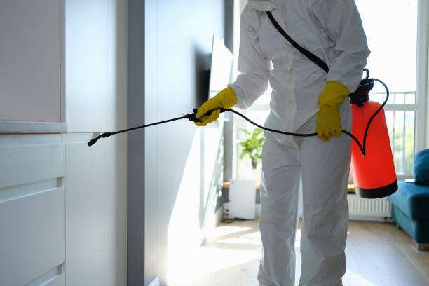 Certified Mold Removal in Grand Ledge, MI